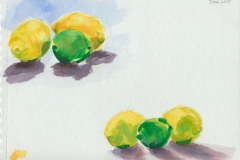sketch-fruit
